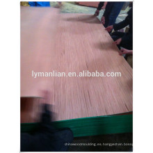 chapa de madera de reconocimiento de venta caliente chapa de madera de reconocimiento gurjan / keruing chapa de madera de álamo para el mercado de la India